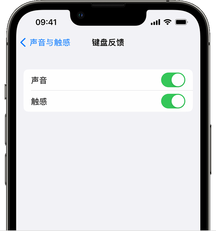 下城苹果14维修店分享如何在 iPhone 14 机型中使用触感键盘 