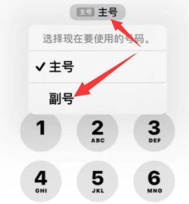 下城苹果14维修店分享iPhone 14 Pro Max使用副卡打电话的方法 