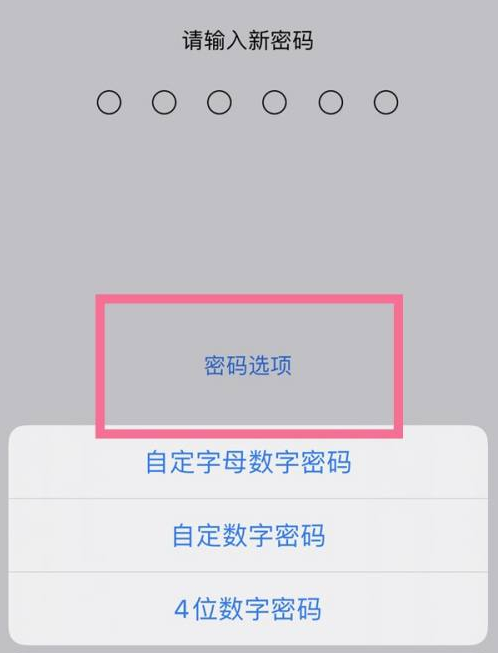 下城苹果14维修分享iPhone 14plus设置密码的方法 