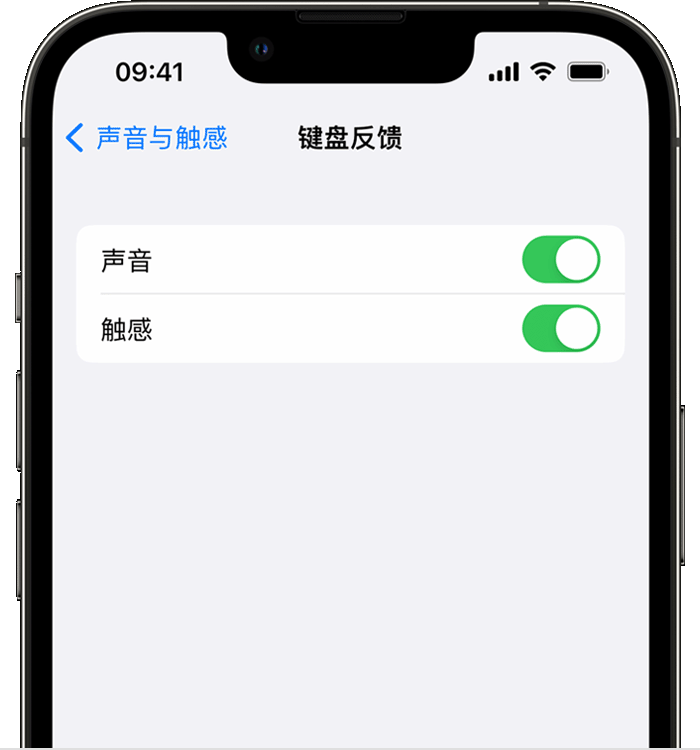 下城苹果14维修分享iPhone 14 系列机型如何开启键盘声音或触感反馈 