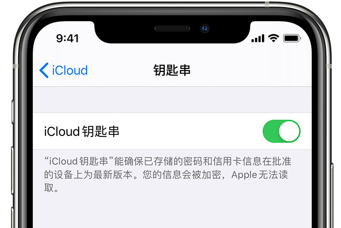 下城苹果手机维修分享在 iPhone 上开启 iCloud 钥匙串之后会储存哪些信息 