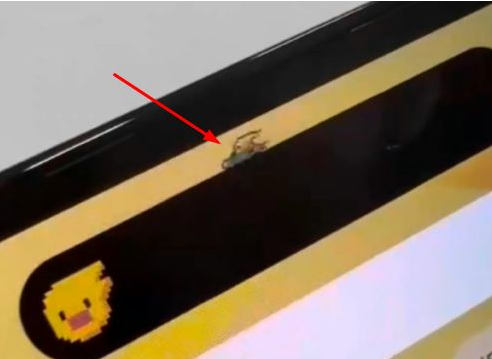 下城苹果14维修分享iPhone 14 Pro Max灵动岛怎么养宠物 