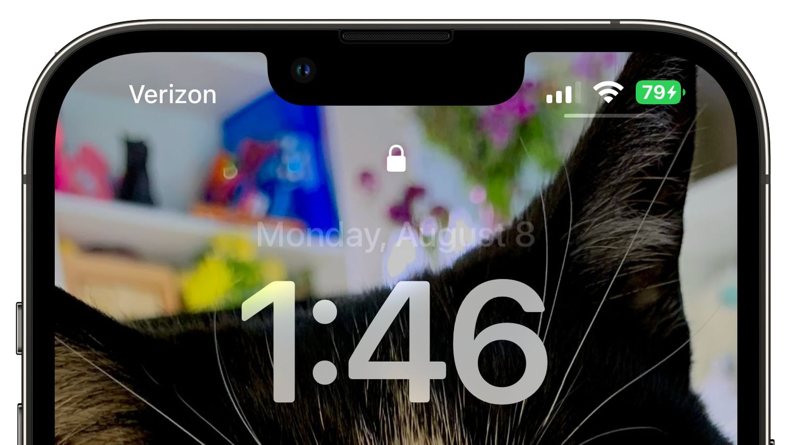 下城苹果手机维修分享iOS 16 beta 5 支持状态栏显示电池百分比，如何开启？支持哪些机型 