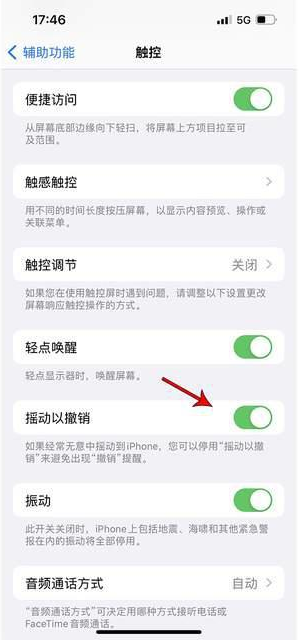 下城苹果手机维修分享iPhone手机如何设置摇一摇删除文字 