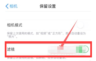 下城苹果13维修分享iPhone13拍照有绿点是怎么回事 