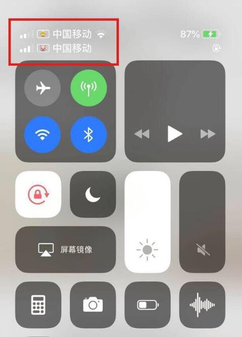 下城苹果手机维修分享为 iPhone 12 双卡设置标签 